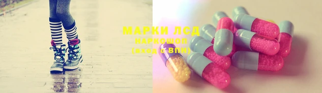 гидропоника Пересвет