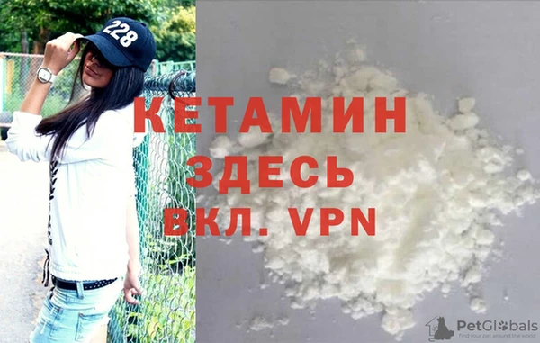 твердый Новодвинск