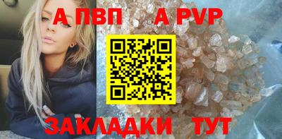 стафф Камышлов