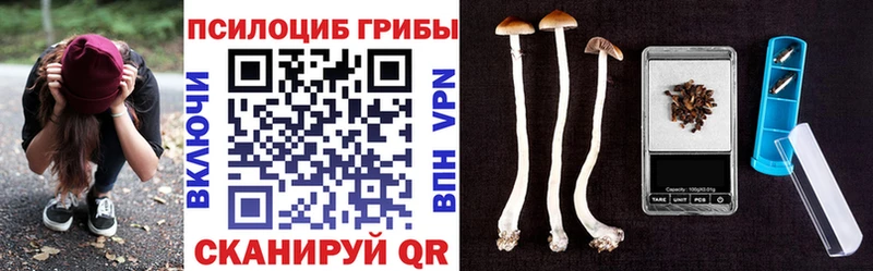 Галлюциногенные грибы GOLDEN TEACHER  Свободный 