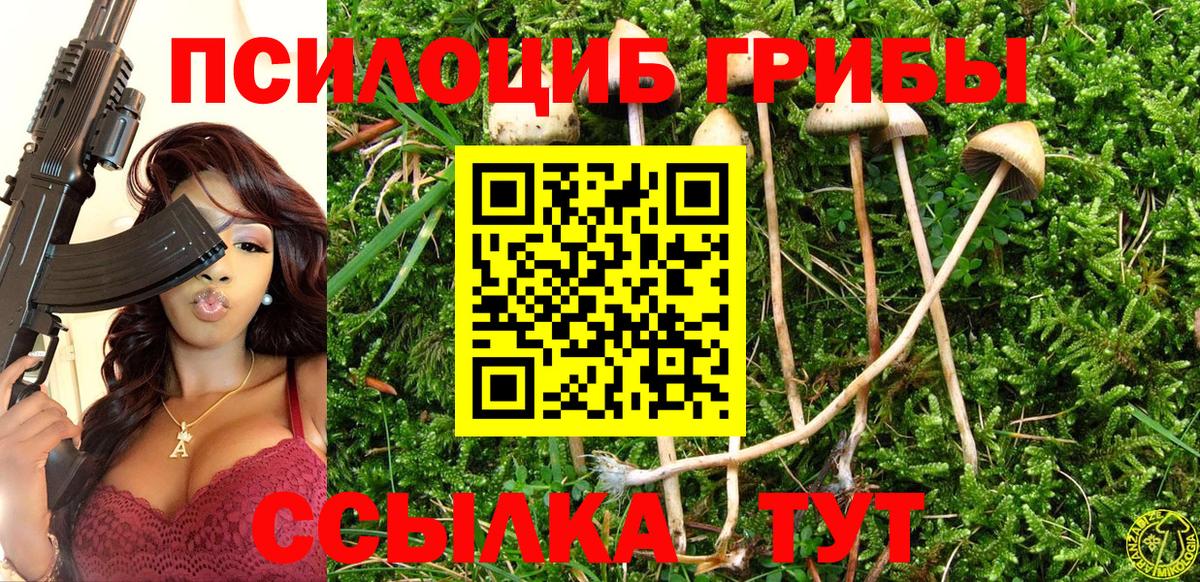 Свободный  Псилоцибиновые грибы MAGIC MUSHROOMS  дарнет шоп  Вход с VPN 