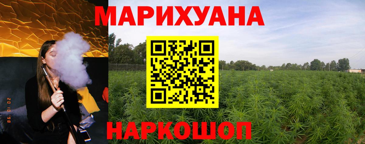 Канабис гибрид Свободный